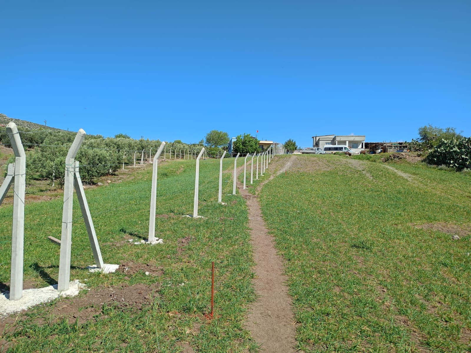 240cm Eğimli Beton Çit Direkleri